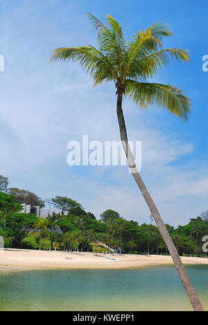 Tropische Kokospalmen wiegen sich im Wind an einem weißen Sandstrand, die Konzepte wie Urlaub und Ferienhäuser, Paradise Island, Reisen, le Stockfoto