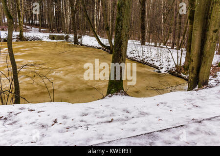 Braun-gelb Eis auf einem Wald Teich. Ein Ring aus weißem Schnee am Ufer eines Teiches. Winter im Park. Stockfoto