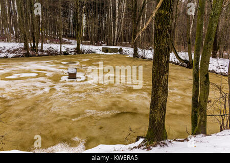 Braun-gelb Eis auf einem Wald Teich. Ein Ring aus weißem Schnee am Ufer eines Teiches. Winter im Park. Stockfoto