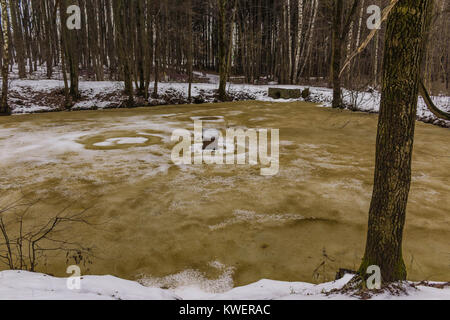 Braun-gelb Eis auf einem Wald Teich. Ein Ring aus weißem Schnee am Ufer eines Teiches. Winter im Park. Stockfoto