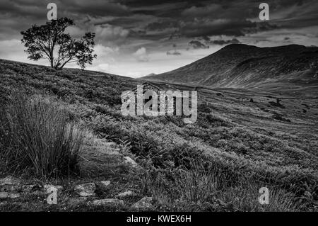 Eskdale im westlichen Bereich des Lake District National Park Cumbria GROSSBRITANNIEN Stockfoto