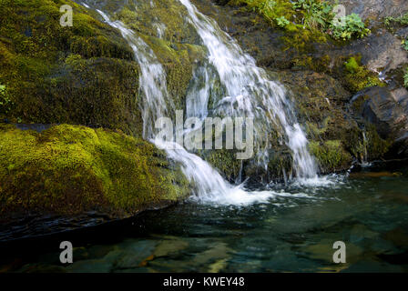 Fragment eines kleinen Wasserfalls fließt über die moosigen Steine in einen transparenten See Stockfoto