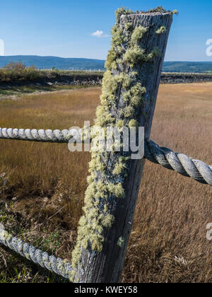 Seil Zaun, Werft Park, Mary's Point Road, Bucht von Fundy, Waterside, New Brunswick, Kanada. Stockfoto