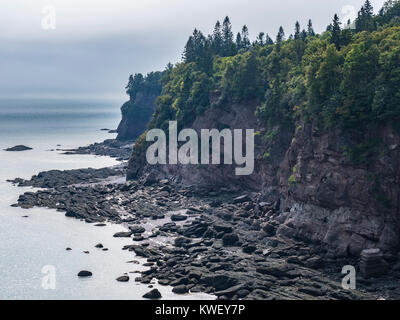 Klippen entlang der Küste, Fundy Trail, Saint Martins, Bucht von Fundy, New Brunswick, Kanada. Stockfoto