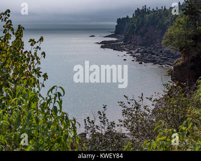 Klippen entlang der Küste, Fundy Trail, Saint Martins, Bucht von Fundy, New Brunswick, Kanada. Stockfoto