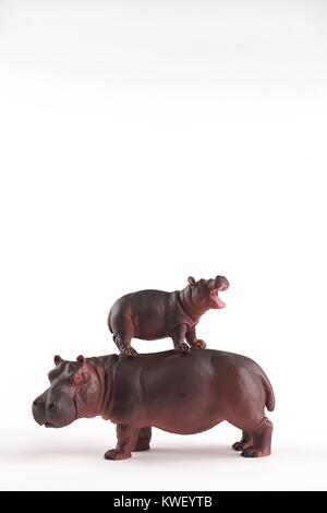 Hippos für Valentines Tag und andere Veranstaltungen Herzen Stockfoto