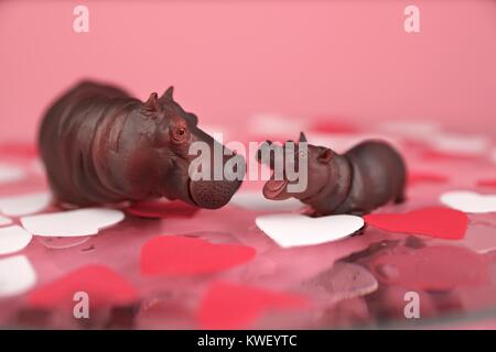 Hippos für Valentines Tag und andere Veranstaltungen Herzen Stockfoto