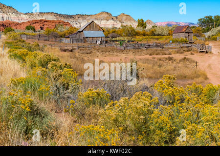 Alte Scheune in der Nähe von Escalante, Utah Stockfoto