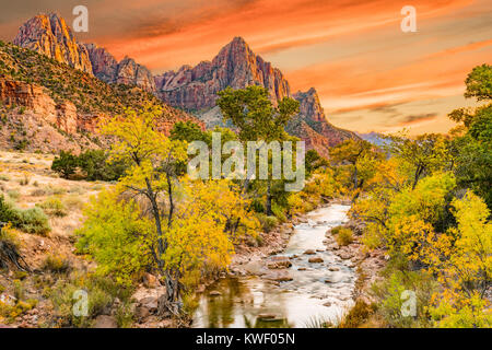 Sonnenuntergang am Watchman peak entlang des Virgin River im Zion National Park, Utah Stockfoto