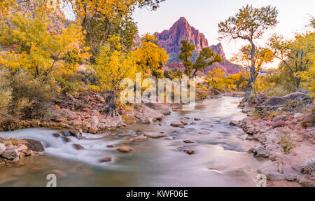 Sonnenuntergang am Watchman peak entlang des Virgin River im Zion National Park, Utah Stockfoto