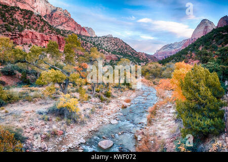 Herbst im Zion National Park, Utah entlang des Virgin River Stockfoto