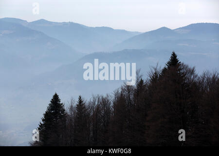 Nebel und Schnee in der Pohorje Berge in der Nähe von Maribor, Slowenien. Immergrüne Bäume stehen auf der Bergseite. Stockfoto