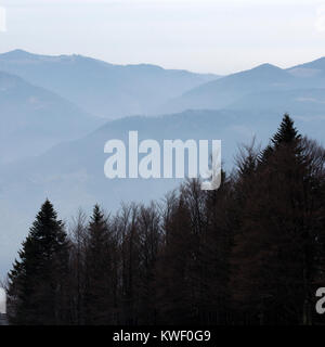 Nebel und Schnee in der Pohorje Berge in der Nähe von Maribor, Slowenien. Immergrüne Bäume stehen auf der Bergseite. Stockfoto
