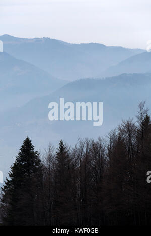 Nebel und Schnee in der Pohorje Berge in der Nähe von Maribor, Slowenien. Immergrüne Bäume stehen auf der Bergseite. Stockfoto
