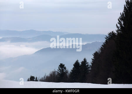 Winter in der Pohorje Berge in der Nähe von Maribor, Slowenien. Immergrüne Bäume stehen auf der nebligen und schneebedeckten Bergen. Stockfoto