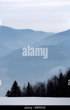 Nebel und Schnee in der Pohorje Berge in der Nähe von Maribor, Slowenien. Immergrüne Bäume stehen auf der Bergseite. Stockfoto