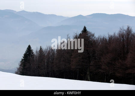 Nebel und Schnee in der Pohorje Berge in der Nähe von Maribor, Slowenien. Immergrüne Bäume stehen auf der Bergseite. Stockfoto