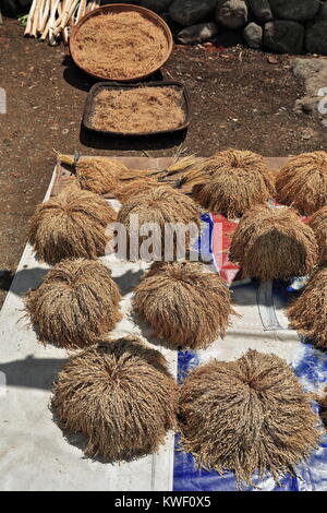 Rohreis Rispen Sonne trocknen auf Kunststoff Matten und Gewebe aus Rattan und Bambus Fächer auf der Etage - Hof von einem lokalen Ifugao Haus. Poitan Weiler - banau Stockfoto