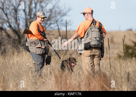 Vater und Sohn Wachteln jagen in Kansas Stockfoto