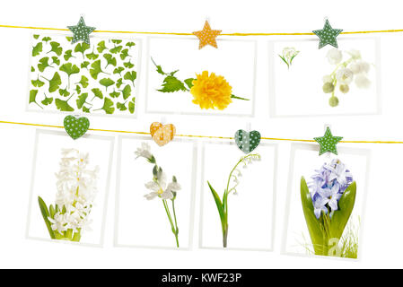 Frühling Blumen auf Papier Karten hängen an Seilen Stockfoto