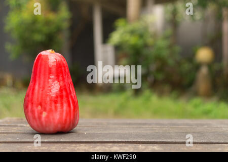 Eine Jambu Guave auf Holz im Garten Stockfoto