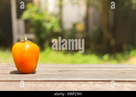 Eine orange Tomaten auf Holz Boden in Grün Garten Stockfoto