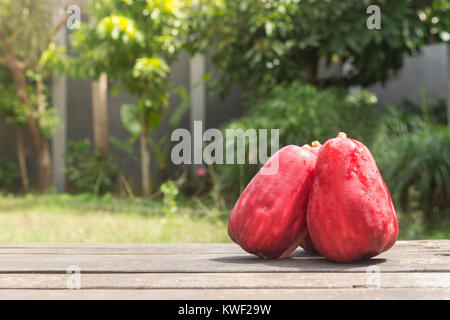 Drei Jambu Guave auf Holz im Garten Stockfoto