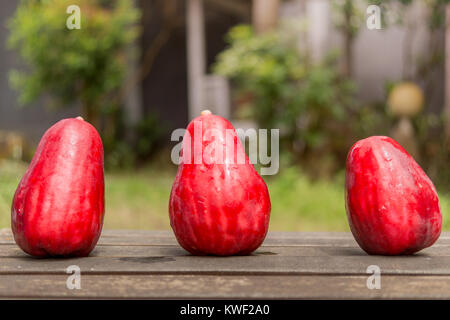 Drei Jambu Guave auf Holz im Garten Stockfoto