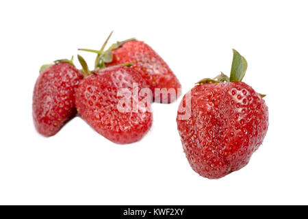 Vier Frische reife Erdbeeren isoliert auf weißem Stockfoto
