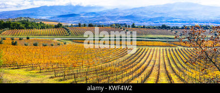 Beeindruckende multicolor Weinberge, Toskana, Panoramablick, Italien. Stockfoto