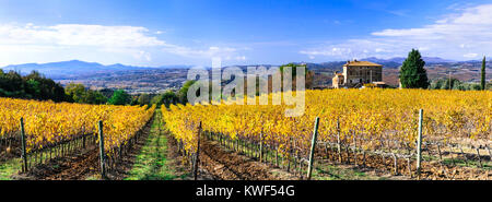 Beeindruckende Herbst Landschaft, mit farbigen Weinberge, Toskana, Italien. Stockfoto