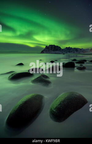 Die Aurora Borealis über Uttakleiv Strand auf den Lofoten in Nord-Norwegen im Winter. Stockfoto