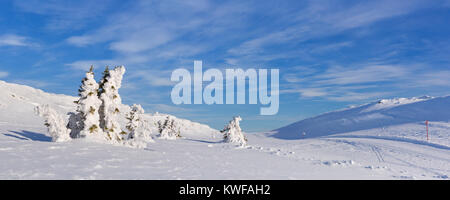 Gefrorene Bäume in eine verschneite Winterlandschaft in Trysil, Norwegen. An einem sonnigen Tag fotografiert. Stockfoto