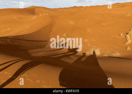 Kamel Schatten auf Sand Dünen während der Kamel Trek in der marokkanischen Sahara. Stockfoto