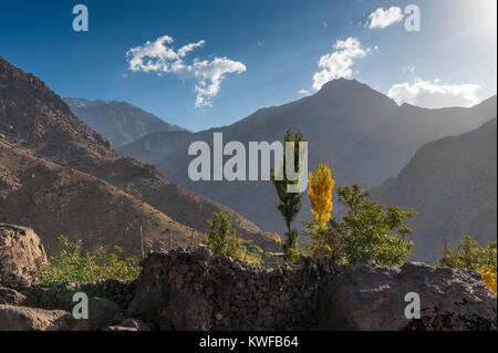 Anzeigen von Aremd, Imili Tal, mit herbstlich gefärbten Pappeln, marokkanische Hohen Atlas. Stockfoto