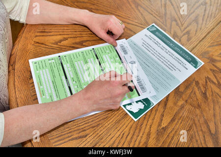 Schwankung in der Irischen Pass Anwendungen. UK: 2. Januar 2017 Kredite: Mark Winter/Alamy Stockfoto