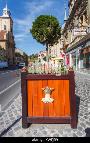 Crest auf einer Pflanzmaschine am Straßenrand, in der Innenstadt von Brasov, eine Stadt in der zentralen Region Siebenbürgen Rumänien Stockfoto