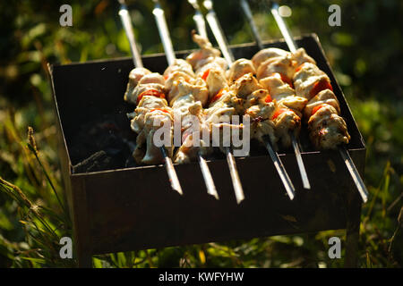 Schaschlik in Kochen am offenen Feuer im freien Stockfoto