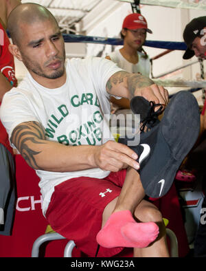 ORLANDO, FL - 01. Oktober: 3-Division und vier Weltmeister Miguel Cotto in Caguas, Puerto Rico, kommt an der Don Miguel Boxing Gym in Orlando, ein Paar rosa Socken zusammen mit seinen rosafarbenen Crocs, als er einen großen Auftritt mit einer seiner Französische Bulldoggen und Frau Melissa den letzten Schliff an seinem Ausbildungslager für seinen nächsten Kampf am Samstag zu legen, 5. Oktober gegen obere Kämpfer Delvin Rodriguez an der Amway Center Arena. Miguel Angel Cotto (am 29. Oktober 1980 geboren) ist ein Puerto Rican Profiboxer. Cotto ist ein ehemaliger WBA (Super) Licht Mittelgewichtmeister. Er ist Stockfoto