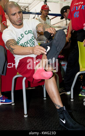 ORLANDO, FL - 01. Oktober: 3-Division und vier Weltmeister Miguel Cotto in Caguas, Puerto Rico, kommt an der Don Miguel Boxing Gym in Orlando, ein Paar rosa Socken zusammen mit seinen rosafarbenen Crocs, als er einen großen Auftritt mit einer seiner Französische Bulldoggen und Frau Melissa den letzten Schliff an seinem Ausbildungslager für seinen nächsten Kampf am Samstag zu legen, 5. Oktober gegen obere Kämpfer Delvin Rodriguez an der Amway Center Arena. Miguel Angel Cotto (am 29. Oktober 1980 geboren) ist ein Puerto Rican Profiboxer. Cotto ist ein ehemaliger WBA (Super) Licht Mittelgewichtmeister. Er ist Stockfoto