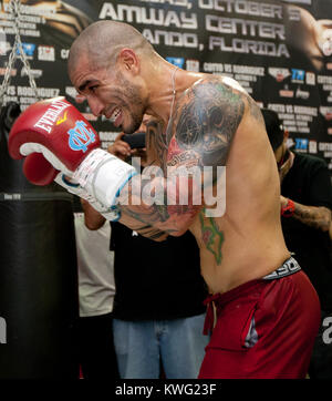 ORLANDO, FL - 01. Oktober: 3-Division und vier Weltmeister Miguel Cotto in Caguas, Puerto Rico, kommt an der Don Miguel Boxing Gym in Orlando, ein Paar rosa Socken zusammen mit seinen rosafarbenen Crocs, als er einen großen Auftritt mit einer seiner Französische Bulldoggen und Frau Melissa den letzten Schliff an seinem Ausbildungslager für seinen nächsten Kampf am Samstag zu legen, 5. Oktober gegen obere Kämpfer Delvin Rodriguez an der Amway Center Arena. Miguel Angel Cotto (am 29. Oktober 1980 geboren) ist ein Puerto Rican Profiboxer. Cotto ist ein ehemaliger WBA (Super) Licht Mittelgewichtmeister. Er ist Stockfoto