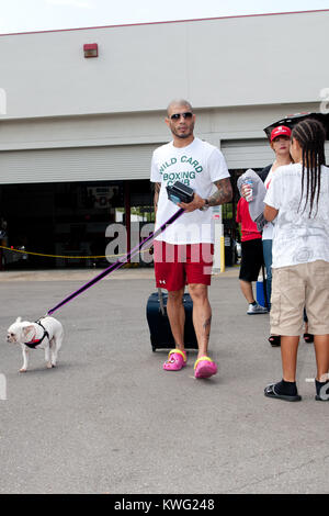 ORLANDO, FL - 01. Oktober: 3-Division und vier Weltmeister Miguel Cotto in Caguas, Puerto Rico, kommt an der Don Miguel Boxing Gym in Orlando, ein Paar rosa Socken zusammen mit seinen rosafarbenen Crocs, als er einen großen Auftritt mit einer seiner Französische Bulldoggen und Frau Melissa den letzten Schliff an seinem Ausbildungslager für seinen nächsten Kampf am Samstag zu legen, 5. Oktober gegen obere Kämpfer Delvin Rodriguez an der Amway Center Arena. Miguel Angel Cotto (am 29. Oktober 1980 geboren) ist ein Puerto Rican Profiboxer. Cotto ist ein ehemaliger WBA (Super) Licht Mittelgewichtmeister. Er ist Stockfoto