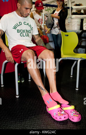 ORLANDO, FL - 01. Oktober: 3-Division und vier Weltmeister Miguel Cotto in Caguas, Puerto Rico, kommt an der Don Miguel Boxing Gym in Orlando, ein Paar rosa Socken zusammen mit seinen rosafarbenen Crocs, als er einen großen Auftritt mit einer seiner Französische Bulldoggen und Frau Melissa den letzten Schliff an seinem Ausbildungslager für seinen nächsten Kampf am Samstag zu legen, 5. Oktober gegen obere Kämpfer Delvin Rodriguez an der Amway Center Arena. Miguel Angel Cotto (am 29. Oktober 1980 geboren) ist ein Puerto Rican Profiboxer. Cotto ist ein ehemaliger WBA (Super) Licht Mittelgewichtmeister. Er ist Stockfoto