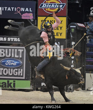 HOLLYWOOD FL - 12. Oktober: Die Professional Bull Riders einen 27.Event, das mit dem 2013 gebauten Ford haltbare Serie Zeitplan hinzugefügt haben. Die Hard Rock Live in Hollywood, Fla., bewirtet die letzten regulären Saison bei Premiere Stier der Welt reiten Serie knapp zwei Wochen vor seiner 2013 WM-Finale in Las Vegas im Hard Rock Live im Seminole Hard Rock Hotel & Casino am 12. Oktober 2013 in Hollywood, Florida statt. Personen: Professional Bull Riders Stockfoto