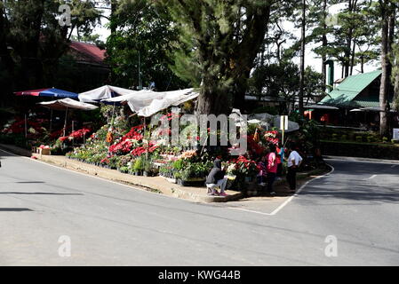 BAGUIO CITY, Philippinen, 14. Dezember 2017, Baguio City Sightseeing, der Sommer, die Hauptstadt der Philippinen Stockfoto