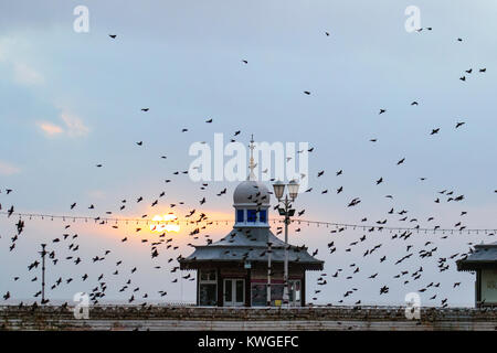 Blackpool, Lancashire. UK Wetter. 3. Januar 2018. Staren versammeln sich auf der North Pier in Blackpool in der Abenddämmerung Ansätze. In sehr windigen Bedingungen, die riesige Massen von Zehntausenden von Vögeln auf das vorland vor dem Fliegen zu ihren Quartieren in den relativen Schutz der Pier Struktur versammeln. Credit: MediaWorldImages/Alamy leben Nachrichten Stockfoto