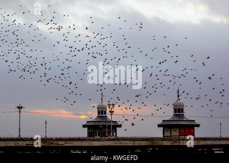 Blackpool, Lancashire. UK Wetter. 3. Januar 2018. Staren versammeln sich auf der North Pier in Blackpool in der Abenddämmerung Ansätze. In sehr windigen Bedingungen, die riesige Massen von Zehntausenden von Vögeln auf das vorland vor dem Fliegen zu ihren Quartieren in den relativen Schutz der Pier Struktur versammeln. Credit: MediaWorldImages/Alamy leben Nachrichten Stockfoto