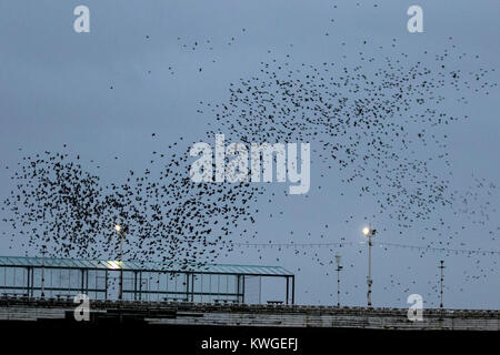 Blackpool, Lancashire. UK Wetter. 3. Januar 2018. Staren versammeln sich auf der North Pier in Blackpool in der Abenddämmerung Ansätze. In sehr windigen Bedingungen, die riesige Massen von Zehntausenden von Vögeln auf das vorland vor dem Fliegen zu ihren Quartieren in den relativen Schutz der Pier Struktur versammeln. Credit: MediaWorldImages/Alamy leben Nachrichten Stockfoto