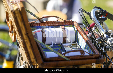 Davenport, Iowa, USA. 22 Okt, 2016. Das Picknick Set von Viererkabel-städte Tweed Fahrt Gründer Tim Nelson gesehen wird, während die vierte jährliche Fahrt in Davenport am Samstag, 22. Oktober 2016 abgestellt. Eine Masse über zweihundert montiert ihre Fahrräder in Tweed Kleid auf der diesjährigen Fahrt, Reisen aus dem East Village von Davenport zu Credit Island Park für ein Picknick vor der Rückkehr in das Dorf für eine Preisverleihung und nach der Party. Credit: Andy Abeyta/Viererkabel - Zeiten/ZUMA Draht/Alamy leben Nachrichten Stockfoto