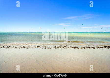 Viele Kitesurfer genießen Sie Ihren Sport an einem windigen Tag in Cumbuco Stockfoto